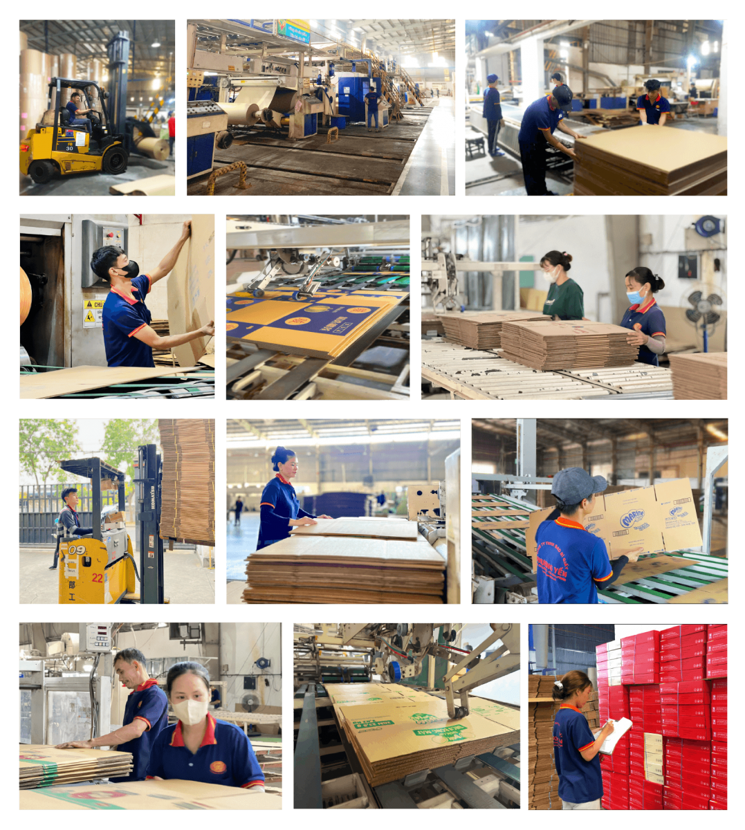 HÌNH ẢNH HOẠT ĐỘNG